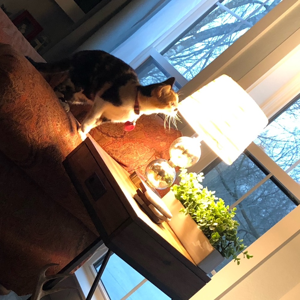 Meet your Posher, Joann